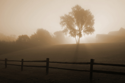 Sunrise
	    in the fog by Dori CC BYSA